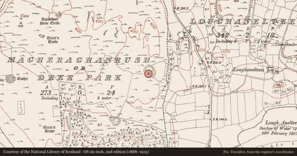 Ordnance Survey six-inch map, 2nd edition (1888–1915) covering the location of Hut site, Magheraghanrush Or Deer Park, County Sligo, with a pin at the register's coordinates