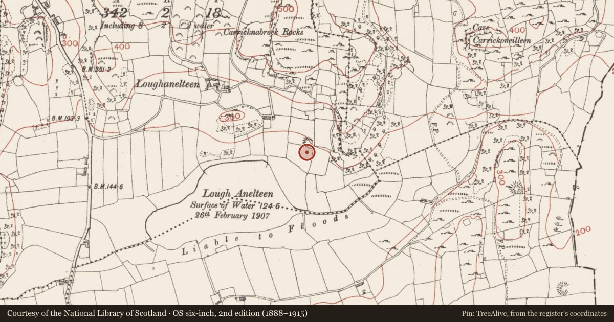 Ordnance Survey six-inch map, 2nd edition (1888–1915) covering the location of Ringfort - unclassified, Loughanelteen, County Sligo, with a pin at the register's coordinates