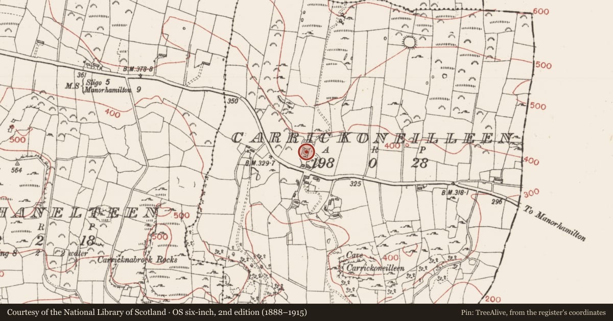 Ordnance Survey six-inch map, 2nd edition (1888–1915) covering the location of Ringfort - cashel, Carrickoneilleen, County Sligo, with a pin at the register's coordinates