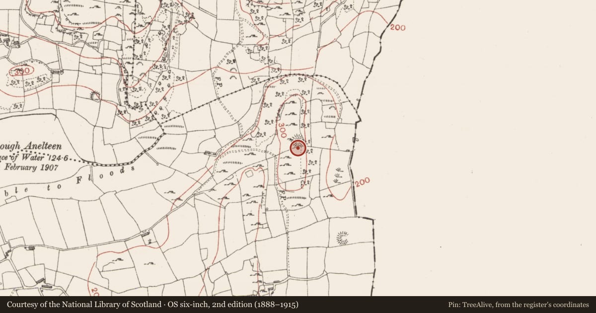 Ordnance Survey six-inch map, 2nd edition (1888–1915) covering the location of Ringfort - cashel, Ballynamona, County Sligo, with a pin at the register's coordinates