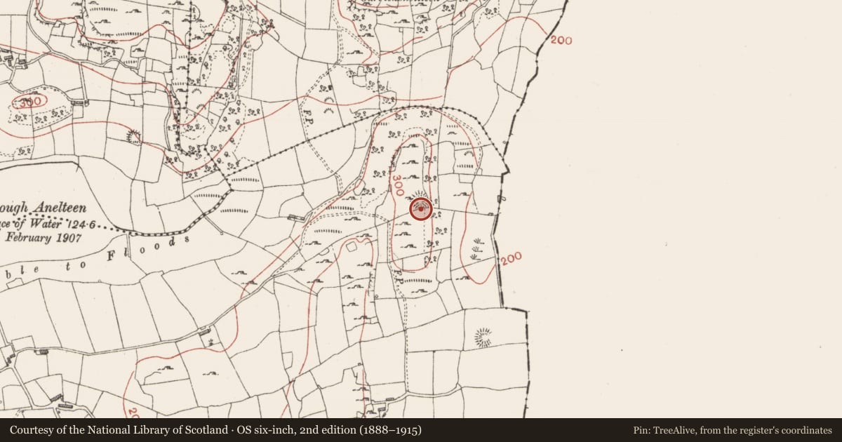 Ordnance Survey six-inch map, 2nd edition (1888–1915) covering the location of Souterrain, Ballynamona, County Sligo, with a pin at the register's coordinates