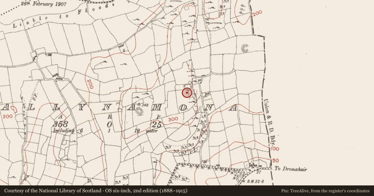 Ordnance Survey six-inch map, 2nd edition (1888–1915) covering the location of Ringfort - cashel, Ballynamona, County Sligo, with a pin at the register's coordinates