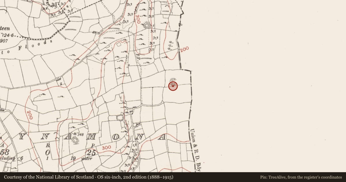 Ordnance Survey six-inch map, 2nd edition (1888–1915) covering the location of Ringfort - cashel, Ballynamona, County Sligo, with a pin at the register's coordinates