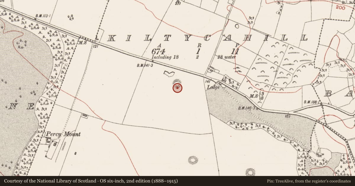 Ordnance Survey six-inch map, 2nd edition (1888–1915) covering the location of Ringfort - rath, Kiltycahill, County Sligo, with a pin at the register's coordinates