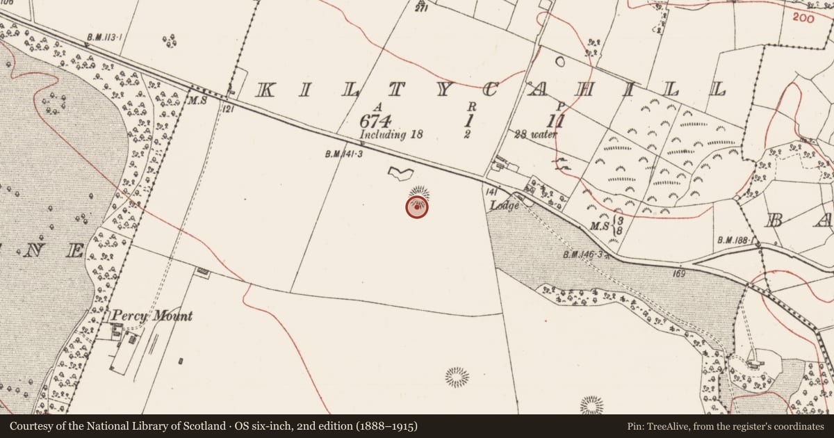 Ordnance Survey six-inch map, 2nd edition (1888–1915) covering the location of Souterrain, Kiltycahill, County Sligo, with a pin at the register's coordinates