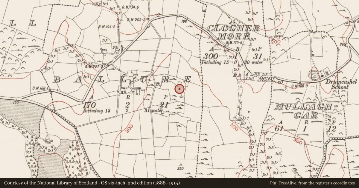 Ordnance Survey six-inch map, 2nd edition (1888–1915) covering the location of Ringfort - cashel, Ballure, County Sligo, with a pin at the register's coordinates