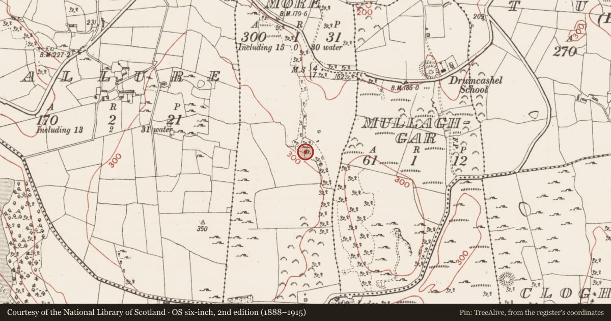 Ordnance Survey six-inch map, 2nd edition (1888–1915) covering the location of Enclosure, Clogher More, County Sligo, with a pin at the register's coordinates