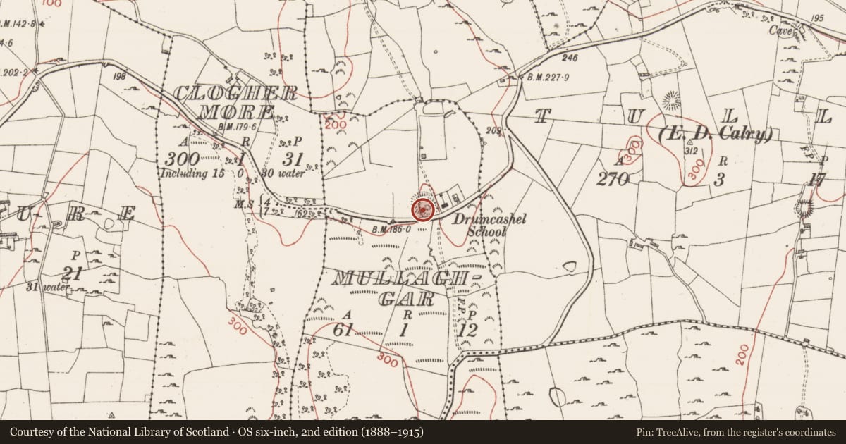Ordnance Survey six-inch map, 2nd edition (1888–1915) covering the location of Enclosure, Mullaghgar, County Sligo, with a pin at the register's coordinates