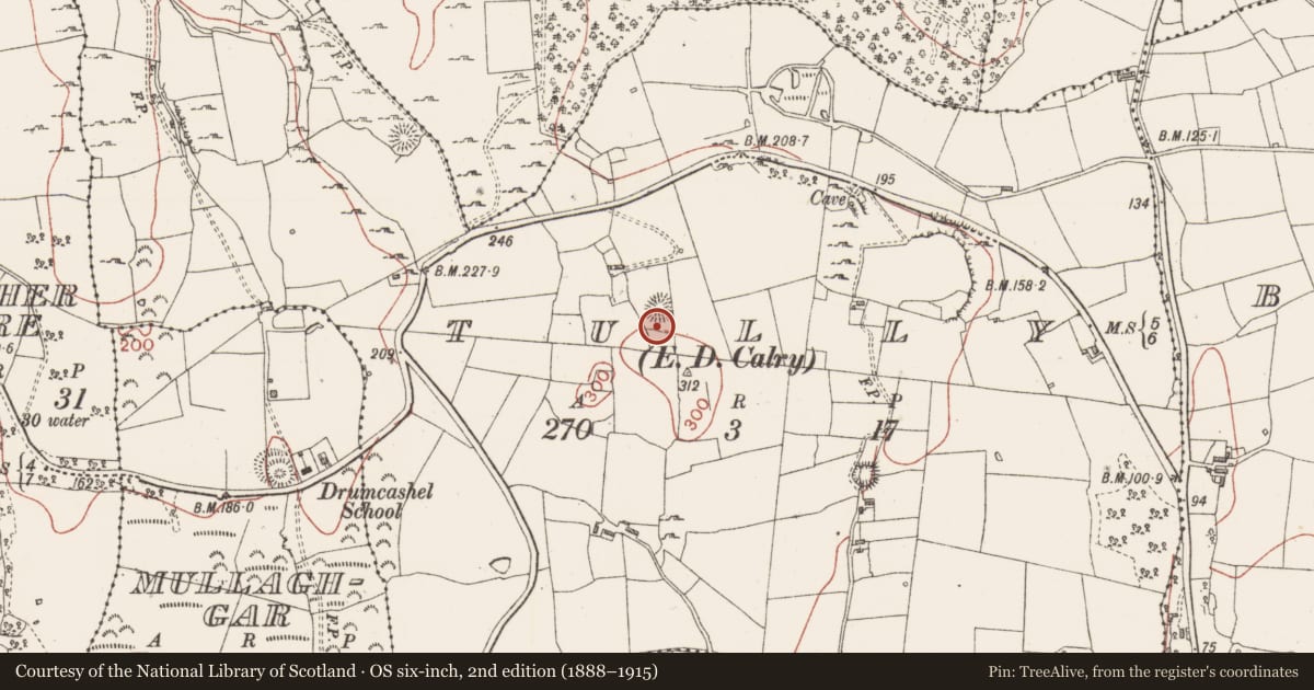 Ordnance Survey six-inch map, 2nd edition (1888–1915) covering the location of Ringfort - rath, Tully, County Sligo, with a pin at the register's coordinates