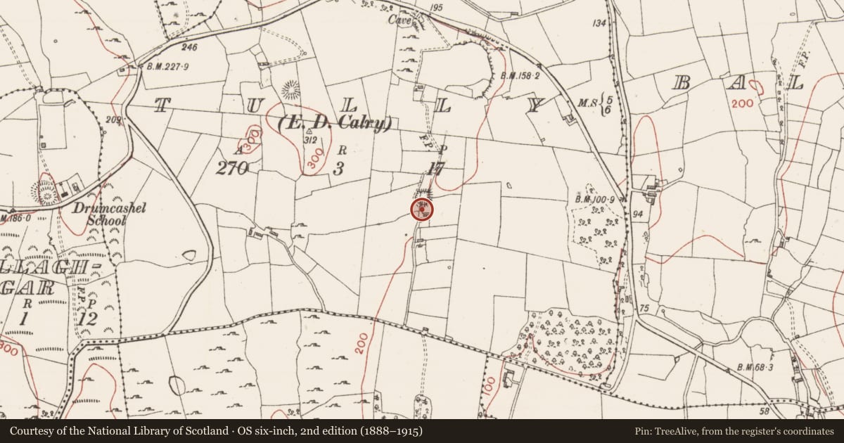Ordnance Survey six-inch map, 2nd edition (1888–1915) covering the location of Ringfort - unclassified, Tully, County Sligo, with a pin at the register's coordinates