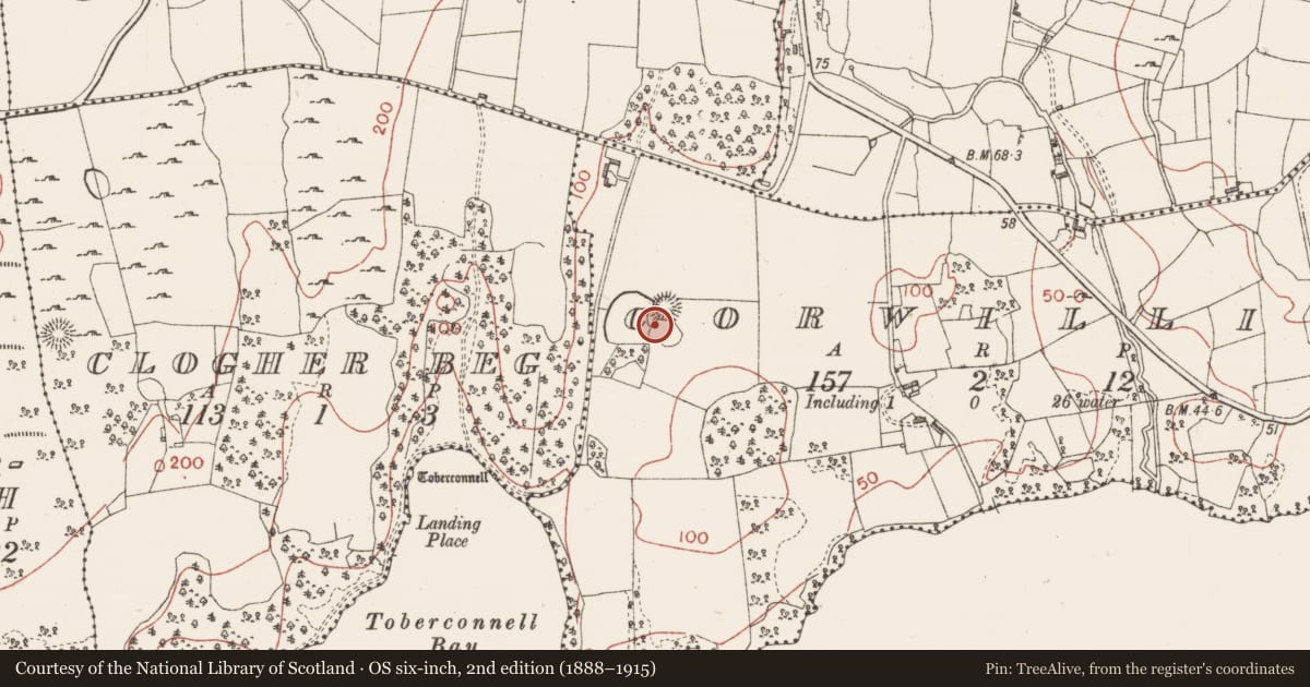 Ordnance Survey six-inch map, 2nd edition (1888–1915) covering the location of Ringfort - rath, Corwillick, County Sligo, with a pin at the register's coordinates