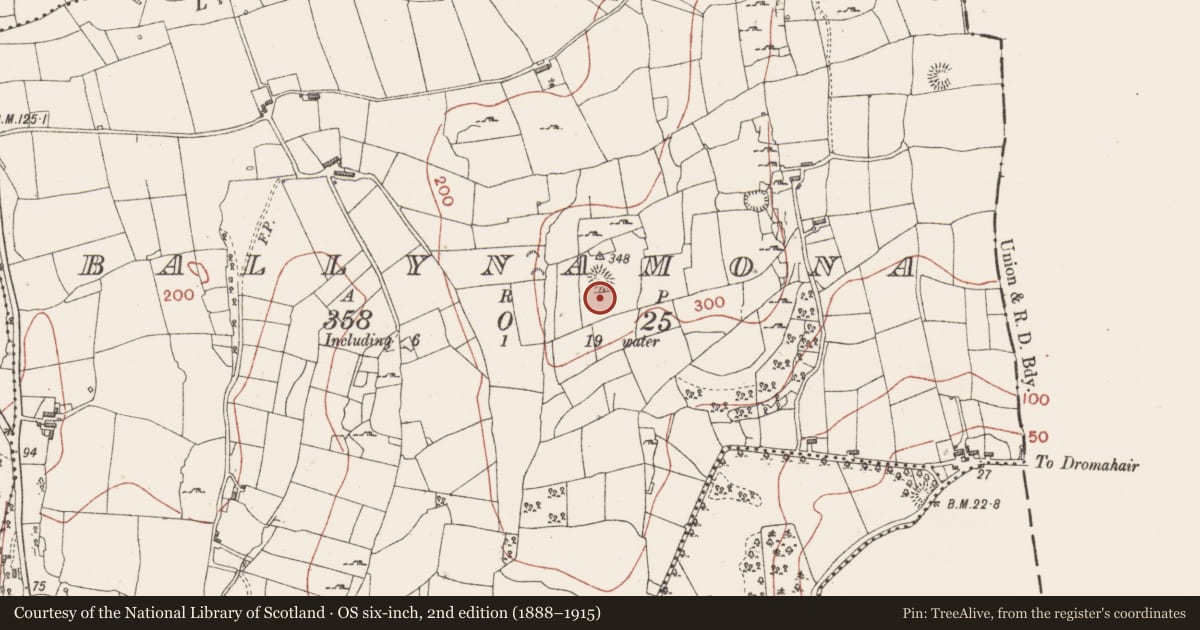 Ordnance Survey six-inch map, 2nd edition (1888–1915) covering the location of Ringfort - cashel, Ballynamona, County Sligo, with a pin at the register's coordinates