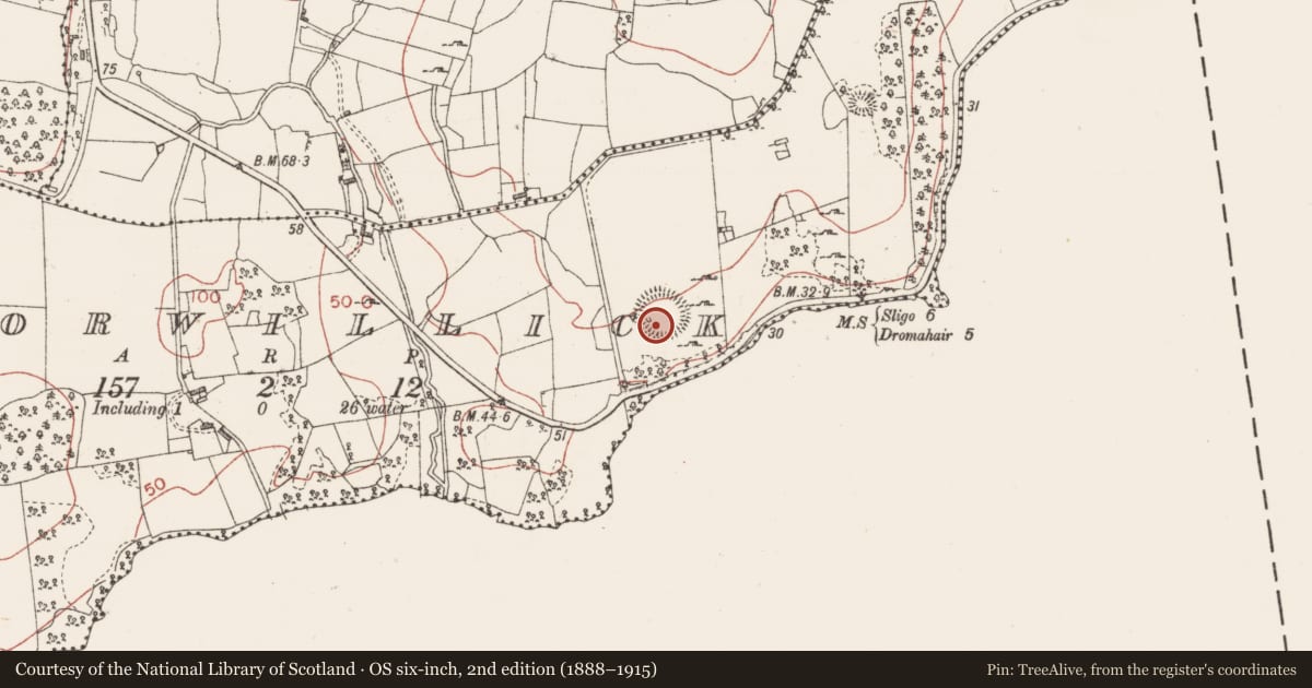 Ordnance Survey six-inch map, 2nd edition (1888–1915) covering the location of Ringfort - cashel, Corwillick, County Sligo, with a pin at the register's coordinates