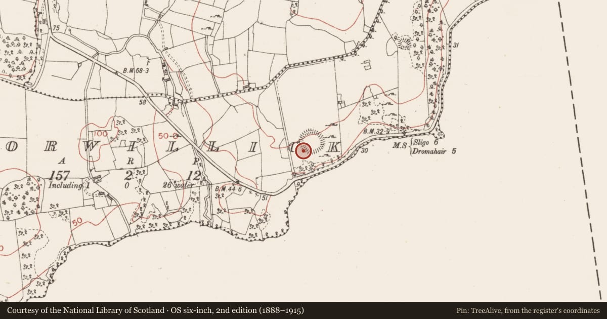 Ordnance Survey six-inch map, 2nd edition (1888–1915) covering the location of Souterrain, Corwillick, County Sligo, with a pin at the register's coordinates