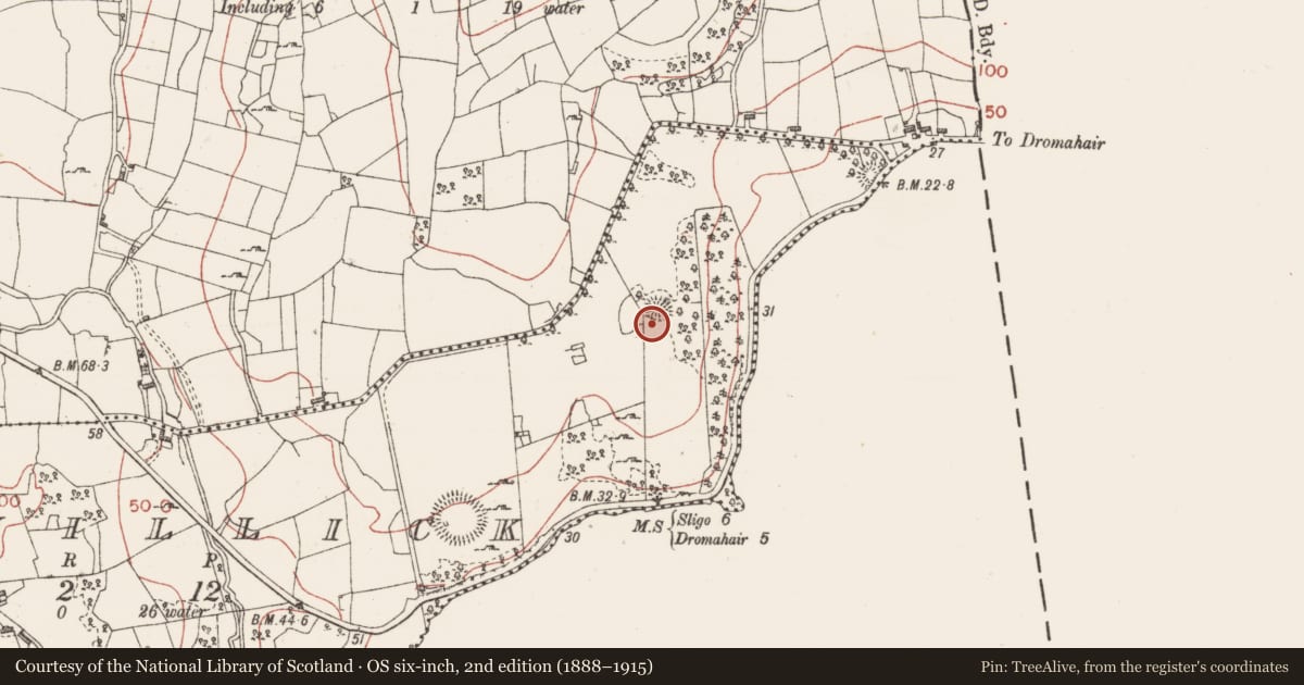 Ordnance Survey six-inch map, 2nd edition (1888–1915) covering the location of Ringfort - cashel, Corwillick, County Sligo, with a pin at the register's coordinates