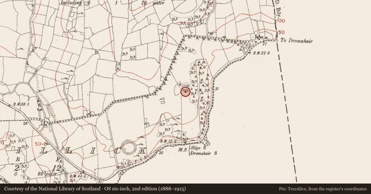 Ordnance Survey six-inch map, 2nd edition (1888–1915) covering the location of Souterrain, Corwillick, County Sligo, with a pin at the register's coordinates