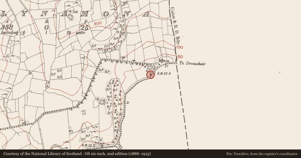 Ordnance Survey six-inch map, 2nd edition (1888–1915) covering the location of Ringfort - cashel, Corwillick, County Sligo, with a pin at the register's coordinates