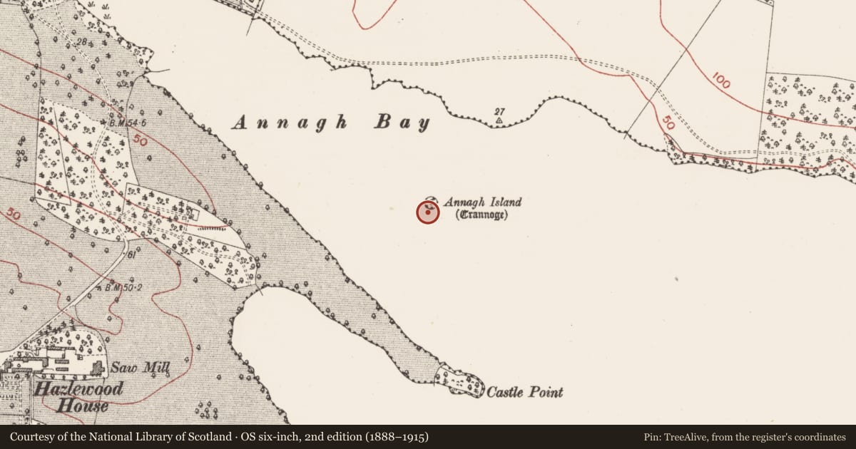 Ordnance Survey six-inch map, 2nd edition (1888–1915) covering the location of Crannog, Lough Gill, County Sligo, with a pin at the register's coordinates