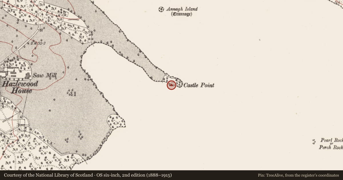 Ordnance Survey six-inch map, 2nd edition (1888–1915) covering the location of Castle - unclassified, Hazelwood Demesne, County Sligo, with a pin at the register's coordinates