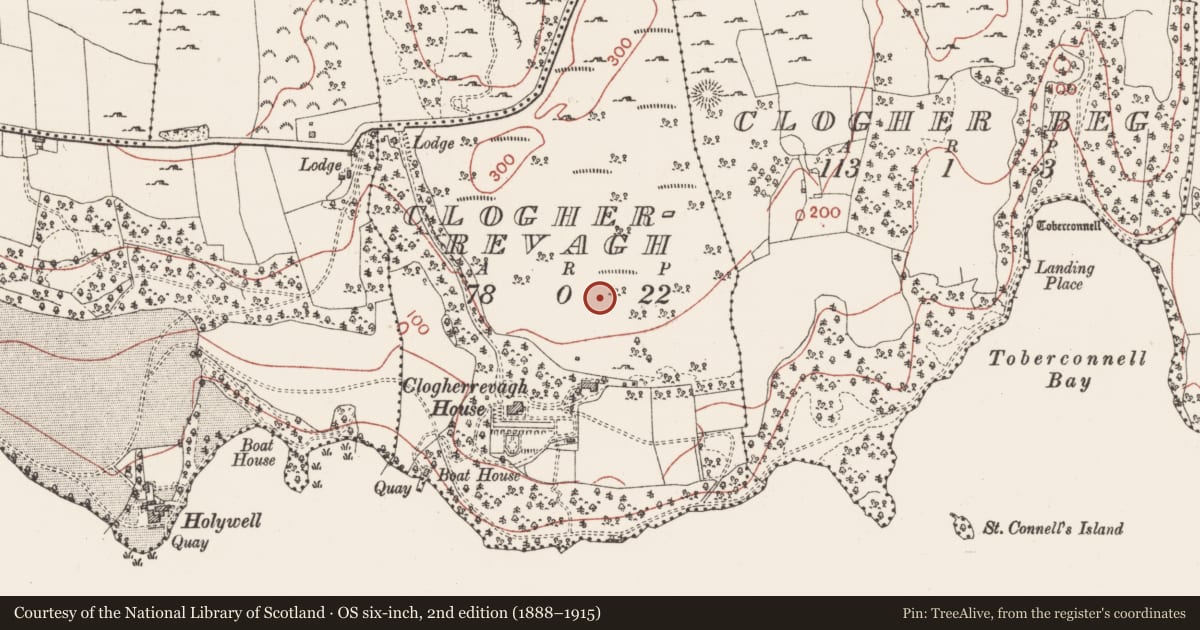 Ordnance Survey six-inch map, 2nd edition (1888–1915) covering the location of Ringfort - cashel, Clogherrevagh, County Sligo, with a pin at the register's coordinates
