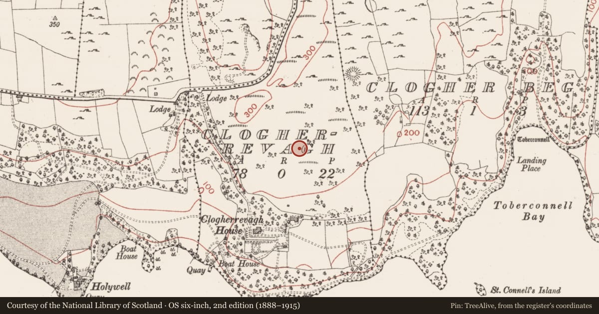 Ordnance Survey six-inch map, 2nd edition (1888–1915) covering the location of Souterrain, Clogherrevagh, County Sligo, with a pin at the register's coordinates