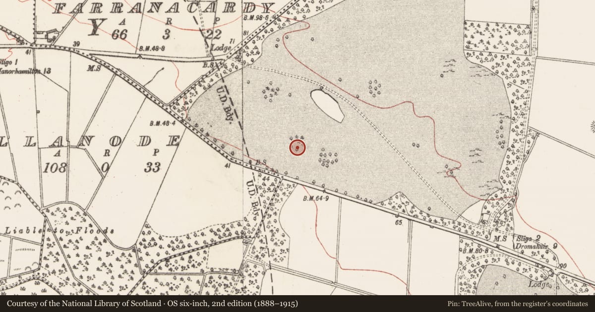 Ordnance Survey six-inch map, 2nd edition (1888–1915) covering the location of Designed landscape - tree-ring, Hazelwood Demesne, County Sligo, with a pin at the register's coordinates