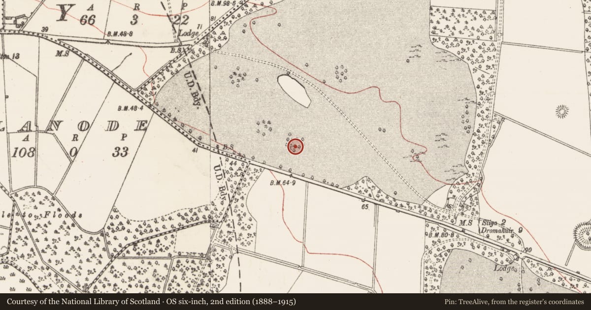 Ordnance Survey six-inch map, 2nd edition (1888–1915) covering the location of Designed landscape - tree-ring, Hazelwood Demesne, County Sligo, with a pin at the register's coordinates