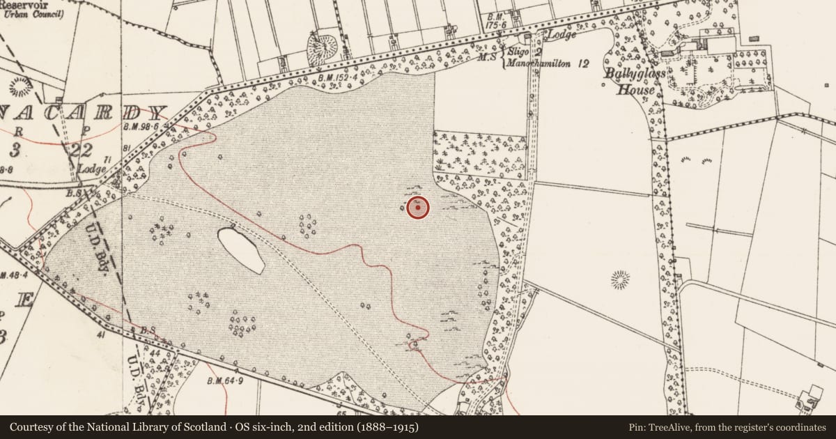 Ordnance Survey six-inch map, 2nd edition (1888–1915) covering the location of Enclosure, Hazelwood Demesne, County Sligo, with a pin at the register's coordinates