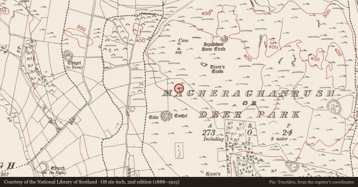 Ordnance Survey six-inch map, 2nd edition (1888–1915) covering the location of House - 18th/19th century, Magheraghanrush Or Deer Park, County Sligo, with a pin at the register's coordinates