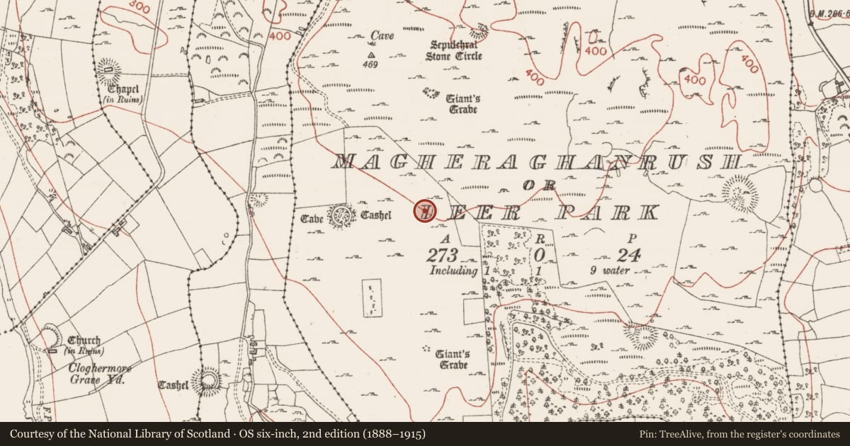 Ordnance Survey six-inch map, 2nd edition (1888–1915) covering the location of Mound, Magheraghanrush Or Deer Park, County Sligo, with a pin at the register's coordinates