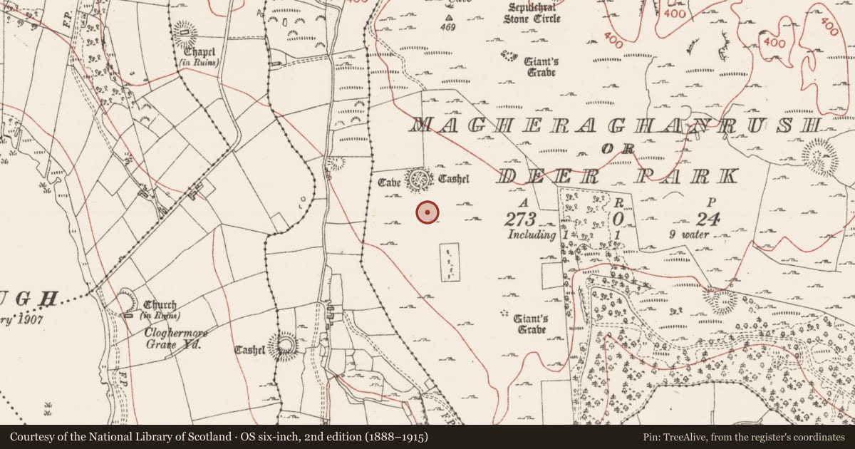 Ordnance Survey six-inch map, 2nd edition (1888–1915) covering the location of House - indeterminate date, Magheraghanrush Or Deer Park, County Sligo, with a pin at the register's coordinates