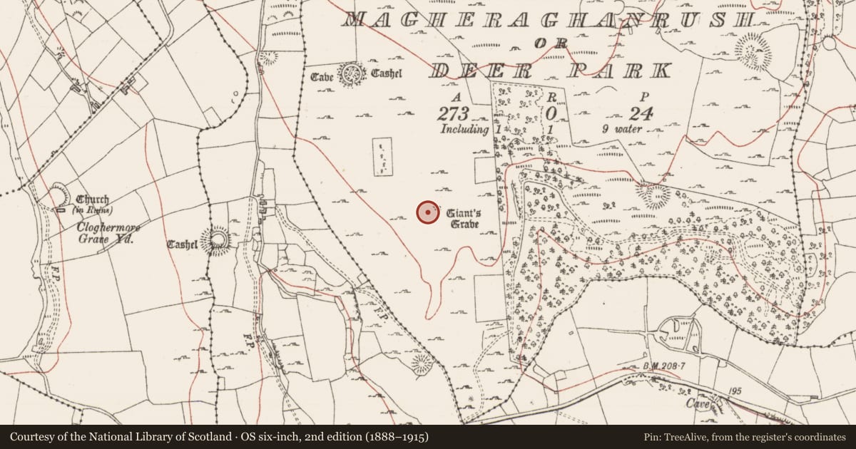 Ordnance Survey six-inch map, 2nd edition (1888–1915) covering the location of Field system, Magheraghanrush Or Deer Park, County Sligo, with a pin at the register's coordinates