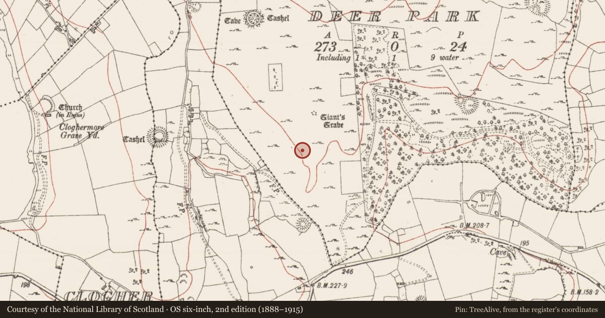 Ordnance Survey six-inch map, 2nd edition (1888–1915) covering the location of Mound, Magheraghanrush Or Deer Park, County Sligo, with a pin at the register's coordinates
