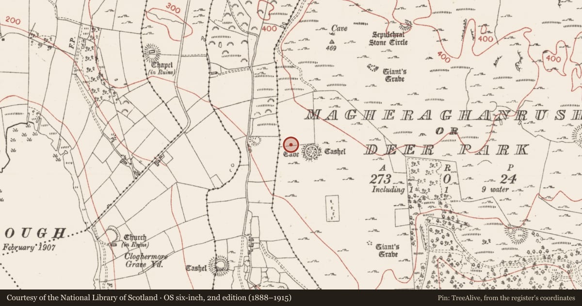 Ordnance Survey six-inch map, 2nd edition (1888–1915) covering the location of Megalithic structure, Magheraghanrush Or Deer Park, County Sligo, with a pin at the register's coordinates