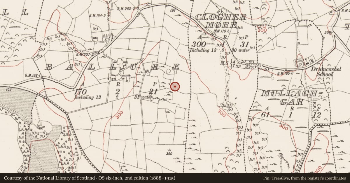 Ordnance Survey six-inch map, 2nd edition (1888–1915) covering the location of Cairn - unclassified, Ballure, County Sligo, with a pin at the register's coordinates