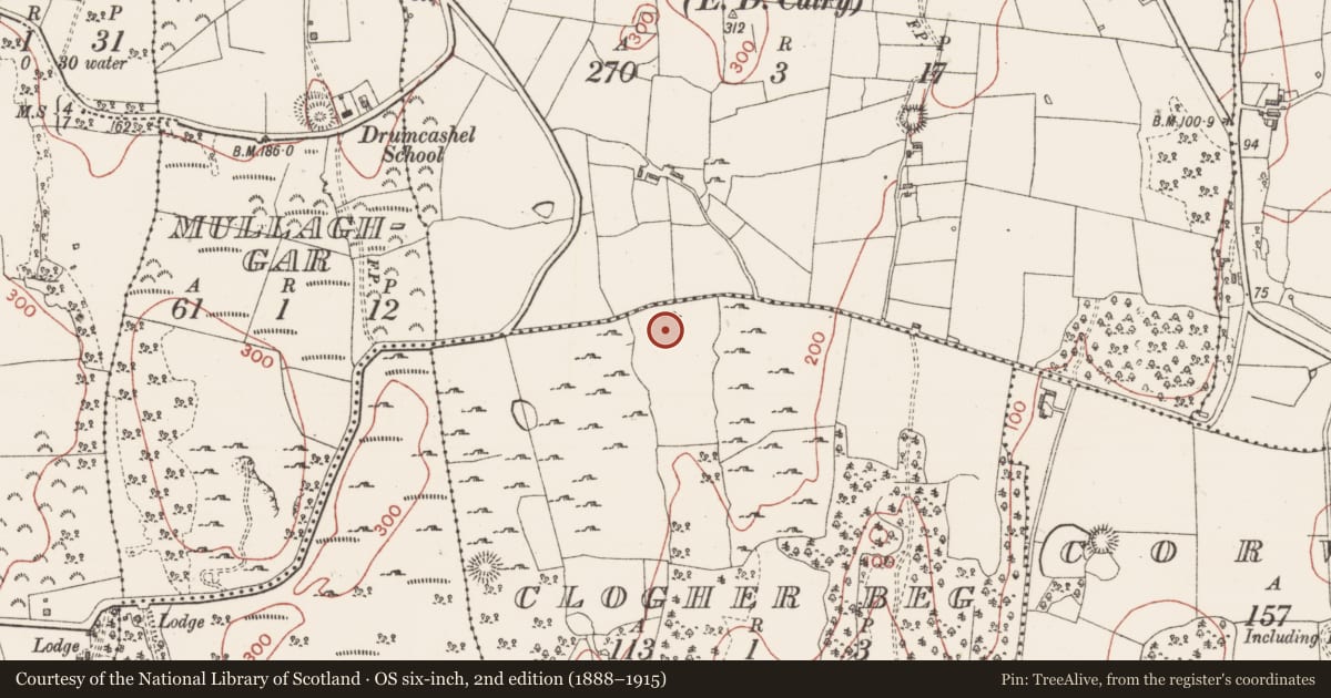 Ordnance Survey six-inch map, 2nd edition (1888–1915) covering the location of Ringfort - cashel, Clogher Beg, County Sligo, with a pin at the register's coordinates