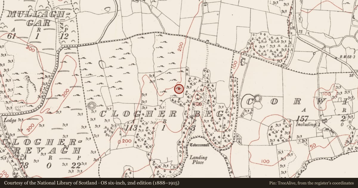 Ordnance Survey six-inch map, 2nd edition (1888–1915) covering the location of Ringfort - cashel, Clogher Beg, County Sligo, with a pin at the register's coordinates