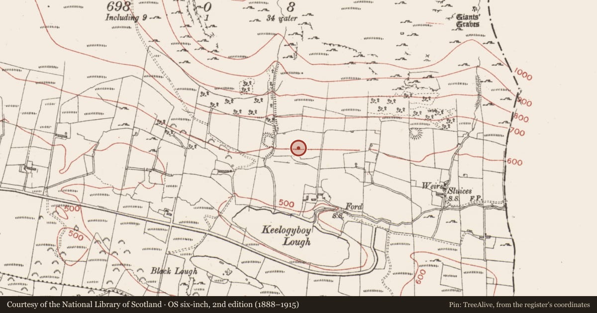 Ordnance Survey six-inch map, 2nd edition (1888–1915) covering the location of Cultivation ridges, Keelogyboy, County Sligo, with a pin at the register's coordinates