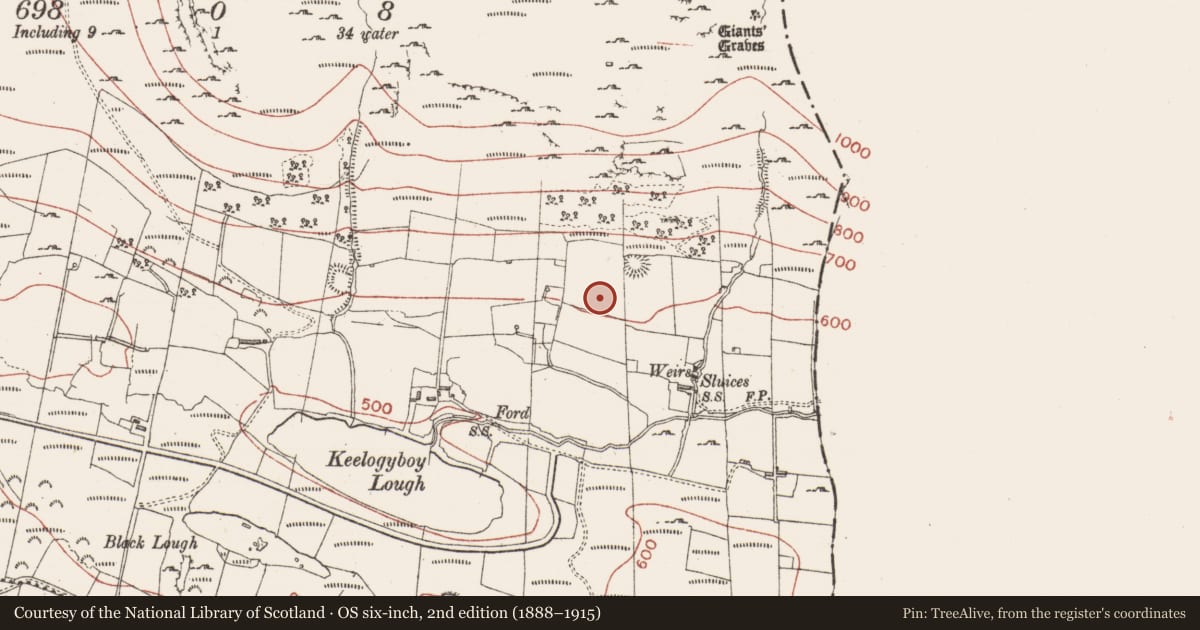 Ordnance Survey six-inch map, 2nd edition (1888–1915) covering the location of Cultivation ridges, Keelogyboy, County Sligo, with a pin at the register's coordinates