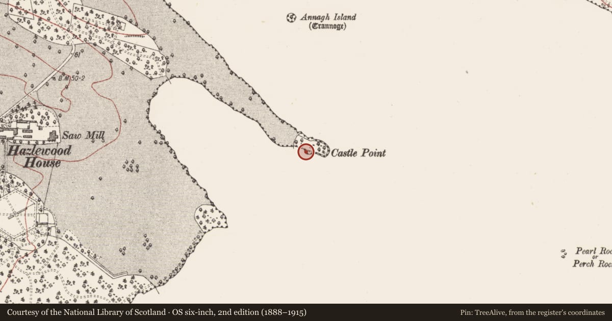Ordnance Survey six-inch map, 2nd edition (1888–1915) covering the location of Enclosure, Hazelwood Demesne, County Sligo, with a pin at the register's coordinates