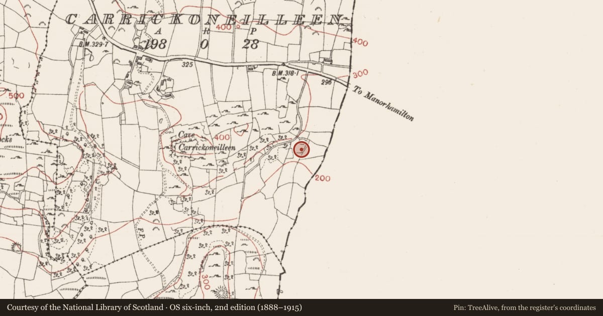 Ordnance Survey six-inch map, 2nd edition (1888–1915) covering the location of Ringfort - cashel, Carrickoneilleen, County Sligo, with a pin at the register's coordinates