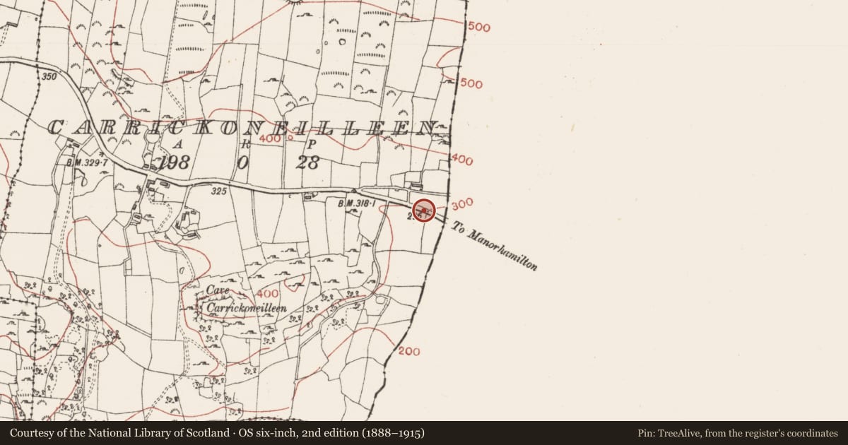 Ordnance Survey six-inch map, 2nd edition (1888–1915) covering the location of Bullaun stone, Carrickoneilleen, County Sligo, with a pin at the register's coordinates