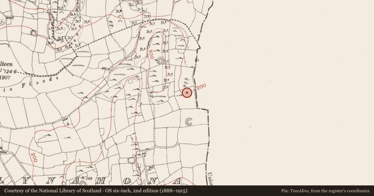 Ordnance Survey six-inch map, 2nd edition (1888–1915) covering the location of Burnt mound, Ballynamona, County Sligo, with a pin at the register's coordinates