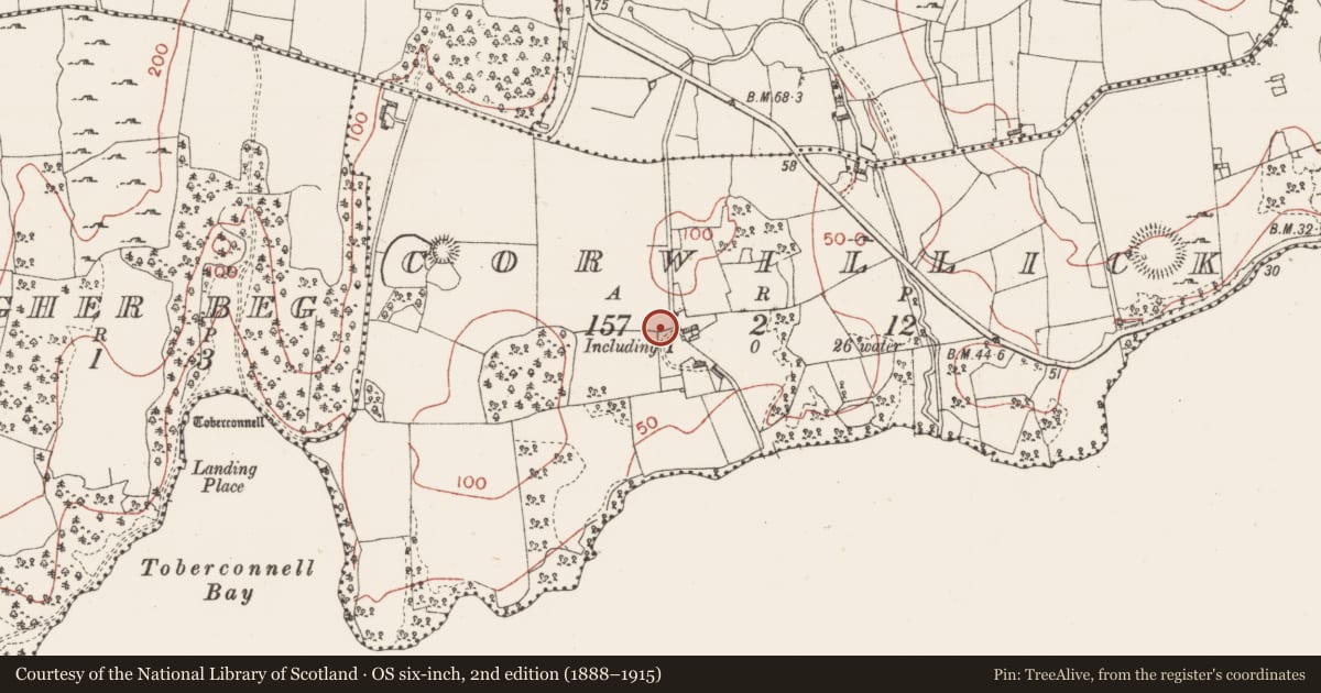 Ordnance Survey six-inch map, 2nd edition (1888–1915) covering the location of Bullaun stone, Corwillick, County Sligo, with a pin at the register's coordinates