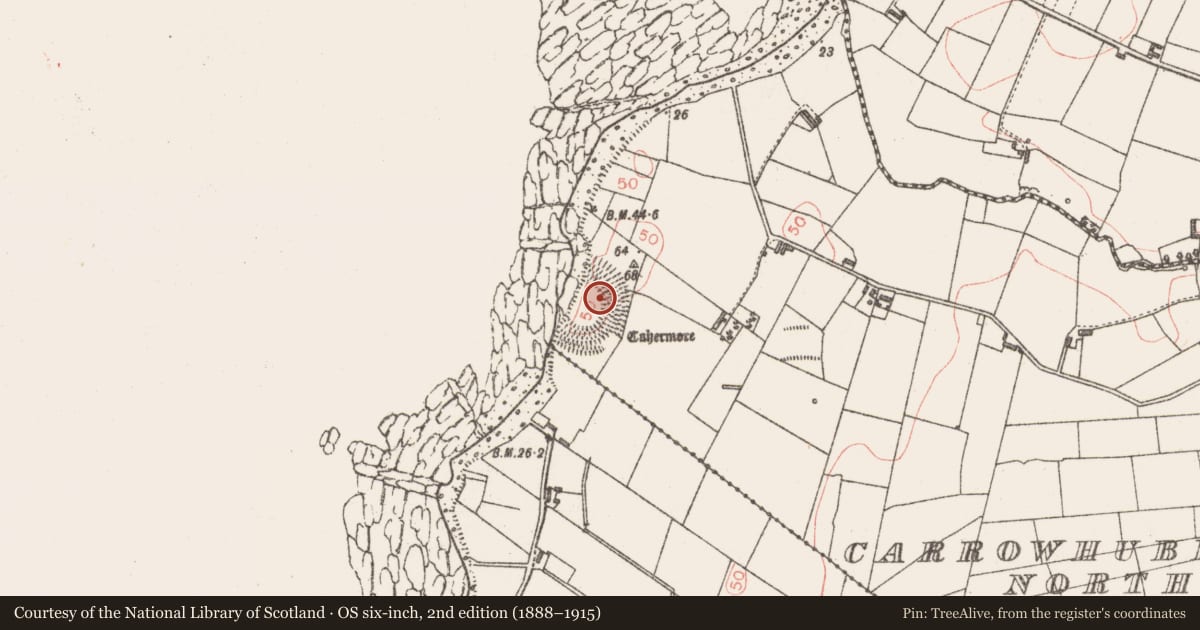 Ordnance Survey six-inch map, 2nd edition (1888–1915) covering the location of Cliff-edge fort, Carrowhubbuck North, County Sligo, with a pin at the register's coordinates