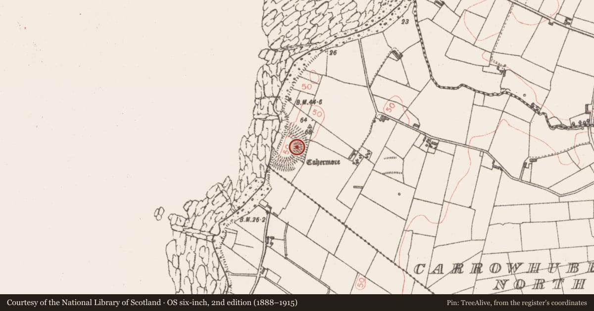 Ordnance Survey six-inch map, 2nd edition (1888–1915) covering the location of Hut site, Carrowhubbuck North, County Sligo, with a pin at the register's coordinates