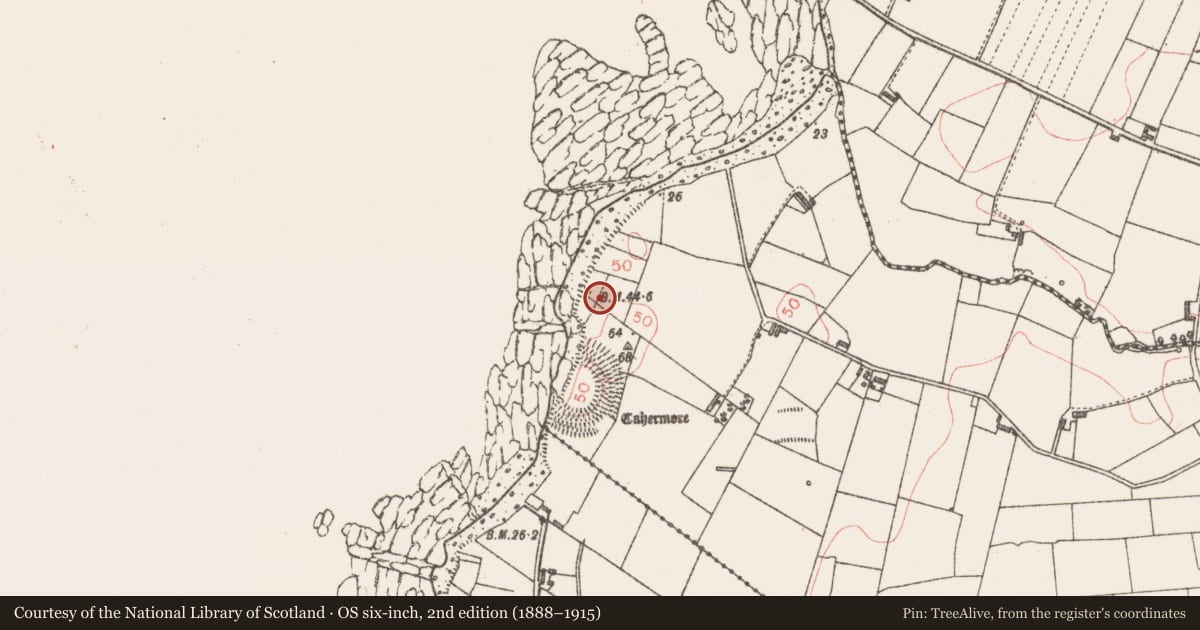 Ordnance Survey six-inch map, 2nd edition (1888–1915) covering the location of Field system, Carrowhubbuck North, County Sligo, with a pin at the register's coordinates