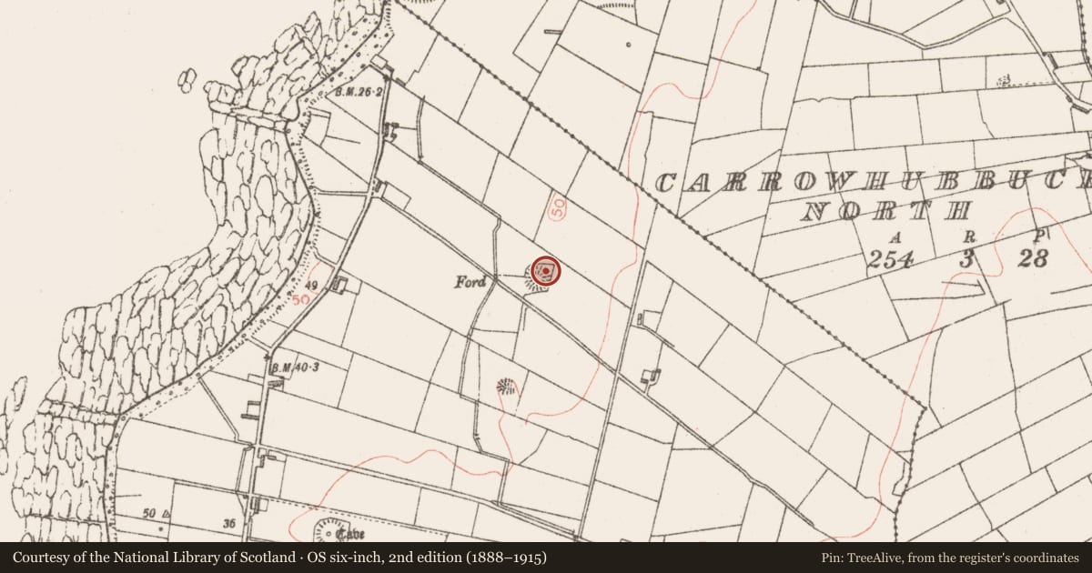 Ordnance Survey six-inch map, 2nd edition (1888–1915) covering the location of Ringfort - rath, Carrowhubbuck South, County Sligo, with a pin at the register's coordinates
