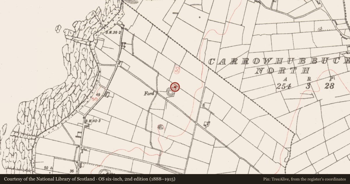 Ordnance Survey six-inch map, 2nd edition (1888–1915) covering the location of Hut site, Carrowhubbuck South, County Sligo, with a pin at the register's coordinates