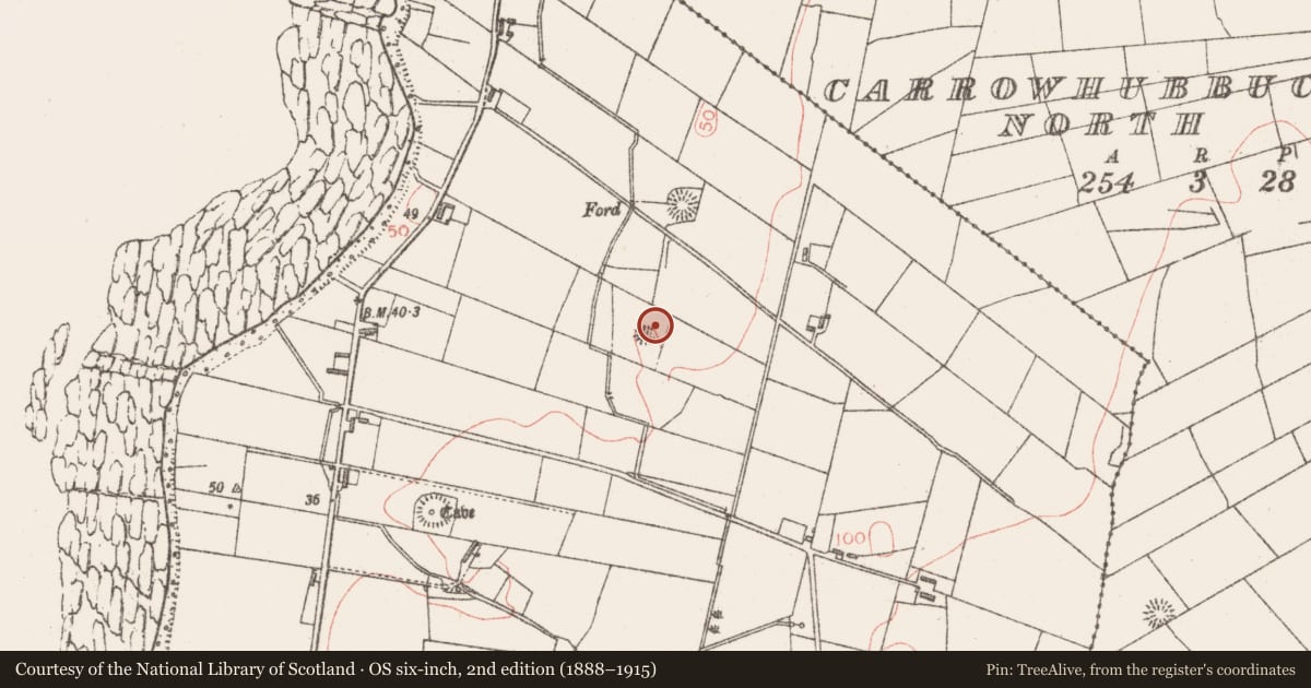 Ordnance Survey six-inch map, 2nd edition (1888–1915) covering the location of Enclosure, Carrowhubbuck South, County Sligo, with a pin at the register's coordinates